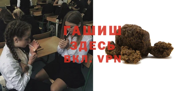 индика Арсеньев