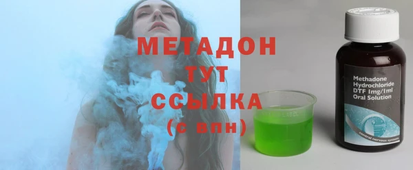 индика Арсеньев