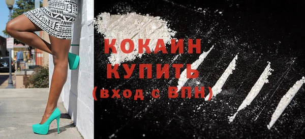 индика Арсеньев