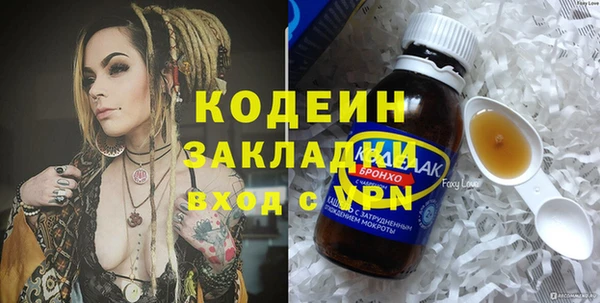 индика Арсеньев