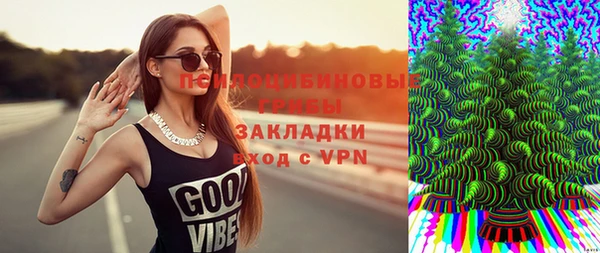 индика Арсеньев