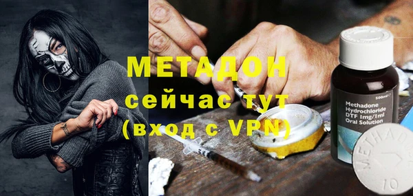 индика Арсеньев