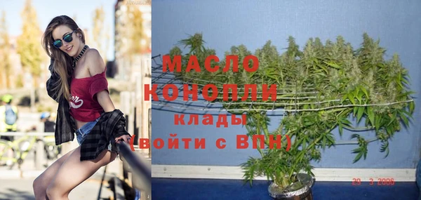 индика Арсеньев