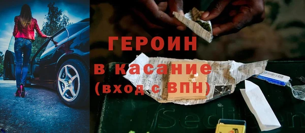 индика Арсеньев